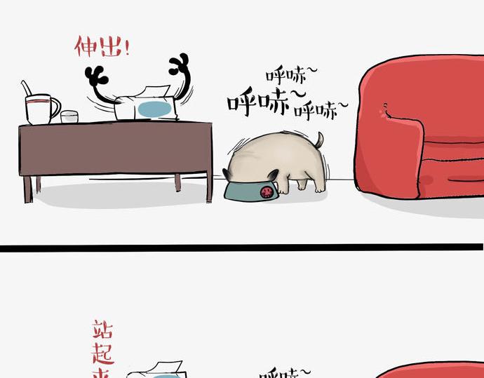 吾皇巴扎黑漫画,第29话 就算高考也要铲屎1图