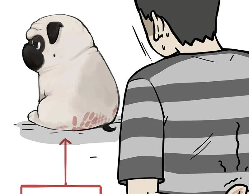 吾皇巴扎黑漫画,第364话 万一呢？1图