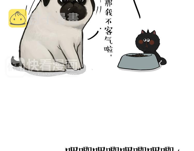 吾皇巴扎黑漫画,第51话 猫和狗的待遇就是不同1图
