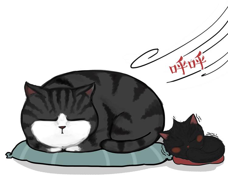 吾皇巴扎黑漫画,第51话 猫和狗的待遇就是不同2图