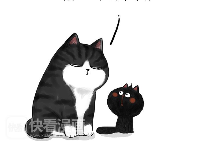 吾皇巴扎黑漫画,第51话 猫和狗的待遇就是不同1图