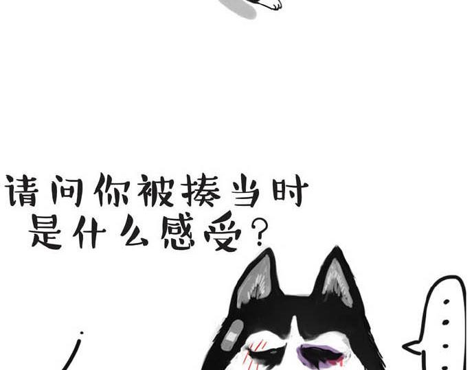 吾皇巴扎黑牛能漫画,第31话 来自喵星人的快感2图
