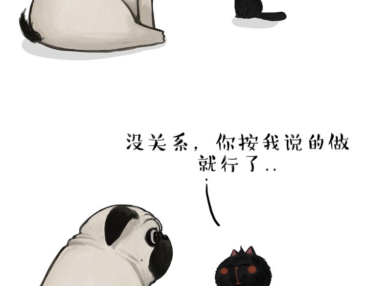 吾皇巴扎黑漫画,第51话 猫和狗的待遇就是不同1图