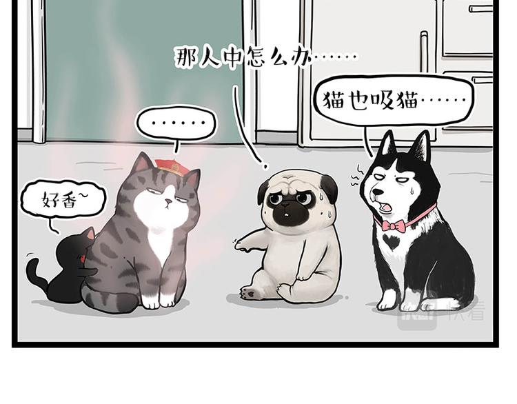 吾皇巴扎黑漫画,第284话 美喵竟是我自己1图