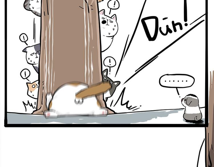 吾皇巴扎黑漫画,第271话 进击的流浪猫！2图