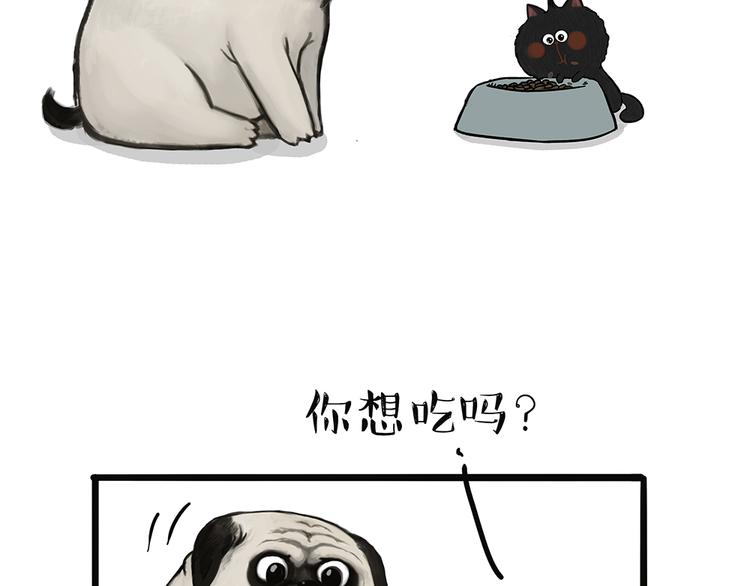 吾皇巴扎黑漫画,第51话 猫和狗的待遇就是不同1图