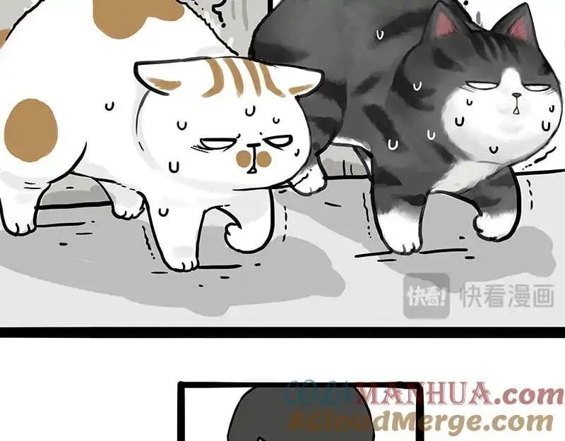 吾皇巴扎黑漫画,第400话 你是好人1图