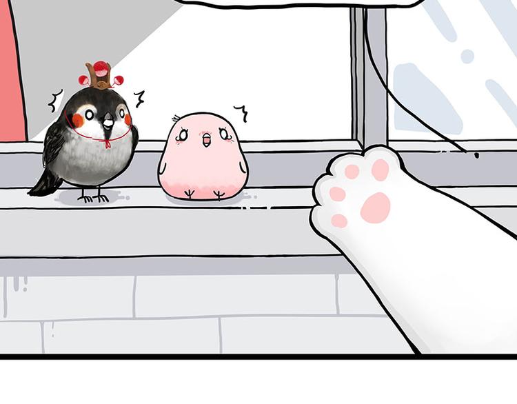 吾皇巴扎黑漫画,第277话 猫斗猫2图