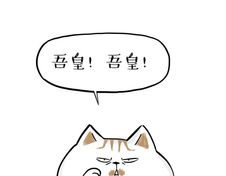 吾皇巴扎黑漫画,第167话 猫王争霸赛1图