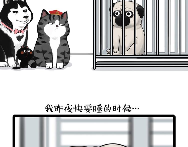 吾皇巴扎黑漫画,第202话 谁动了吾皇的猫粮1图
