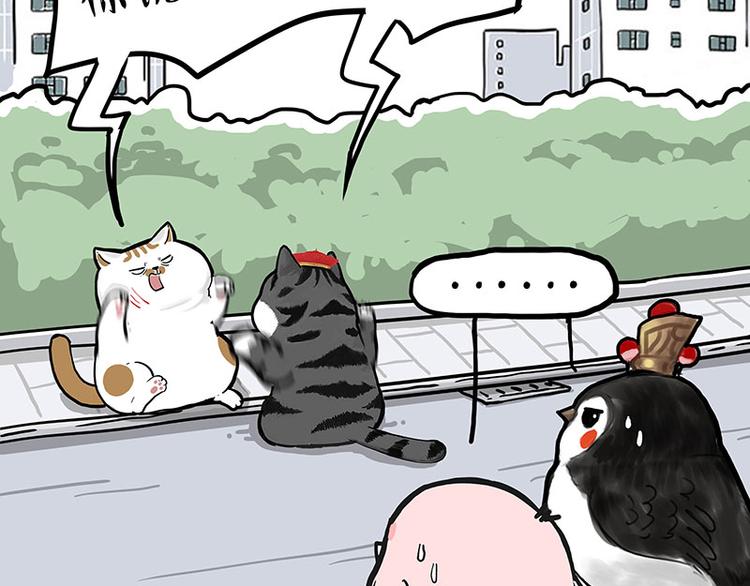 吾皇巴扎黑漫画,第277话 猫斗猫1图