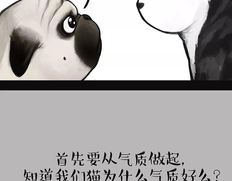 吾皇巴扎黑漫画,第227话 丑狗宿命2图