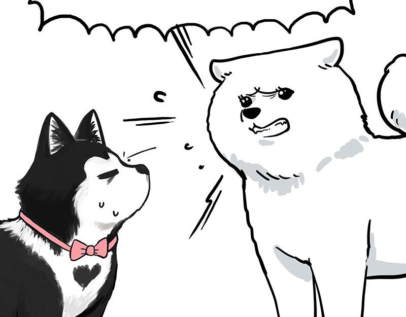 吾皇巴扎黑漫画,第349话 养只猫吧2图