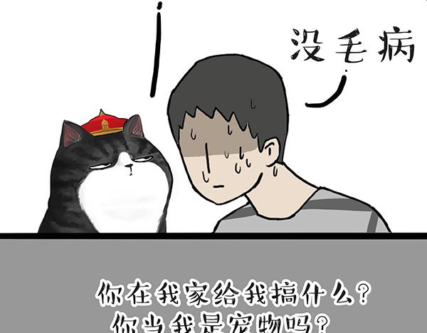 吾皇巴扎黑漫画全集漫画,第60话 瞎操什么心1图