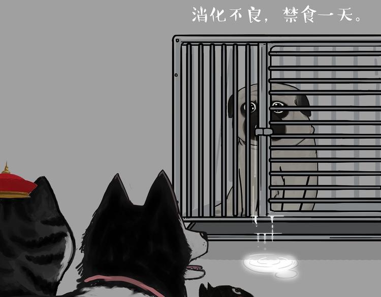 吾皇巴扎黑漫画,第202话 谁动了吾皇的猫粮2图