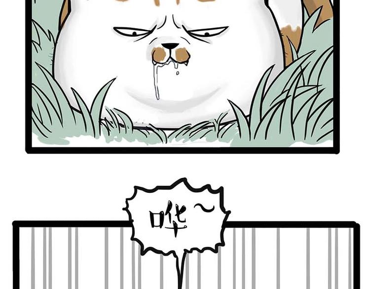 吾皇巴扎黑漫画全集漫画,第159话 傲霸日常（二）2图