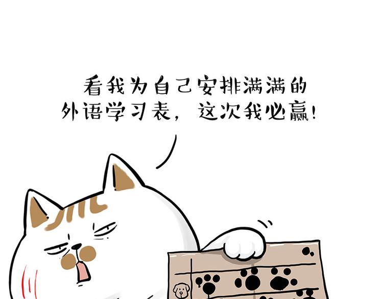 吾皇巴扎黑漫画,第277话 猫斗猫2图