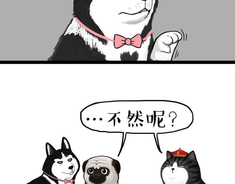 吾皇巴扎黑漫画,第153话 我最狗2图