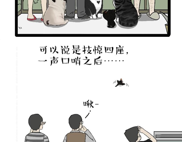 吾皇巴扎黑漫画,第163话 记得回家看看1图