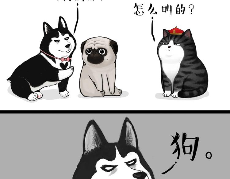 吾皇巴扎黑漫画,第153话 我最狗1图