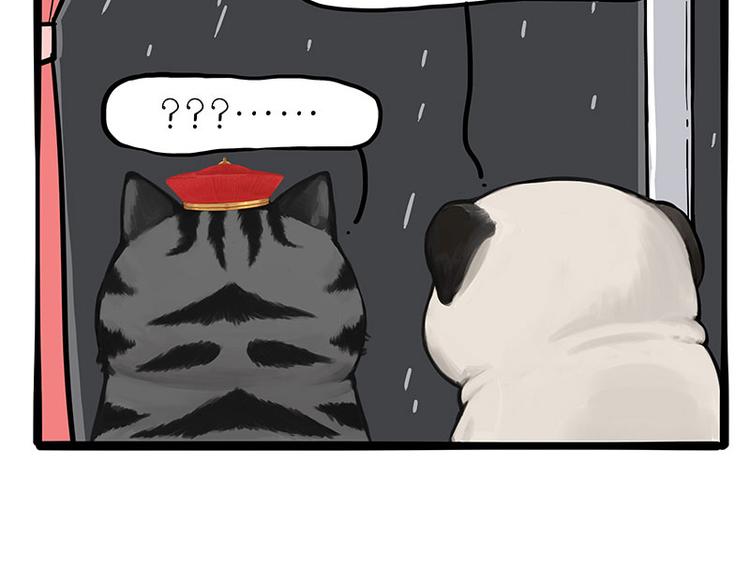吾皇巴扎黑漫画,第265话 雨夜“惊魂”1图