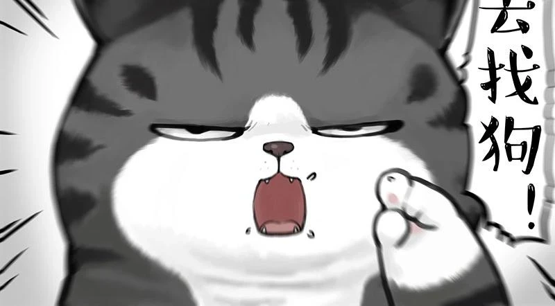 吾皇巴扎黑漫画,第362话 去找狗！2图