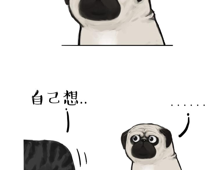 吾皇巴扎黑漫画,第75话 猫奴被嫌弃了2图
