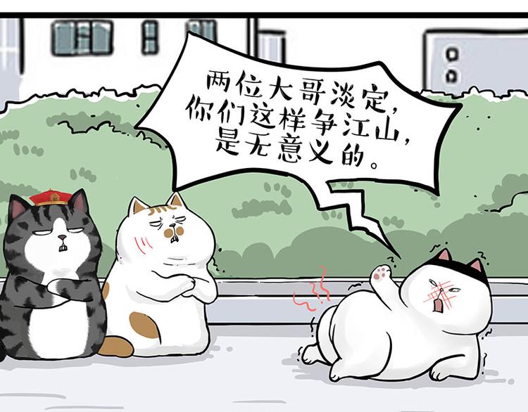 吾皇巴扎黑漫画,第277话 猫斗猫1图