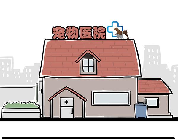 吾皇巴扎黑漫画,第78话 带宠物看病（上）1图