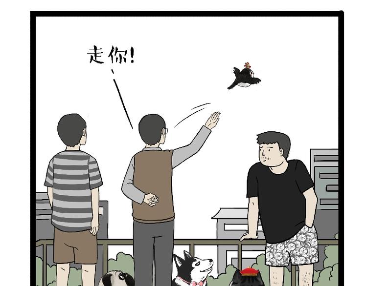 吾皇巴扎黑漫画,第163话 记得回家看看2图