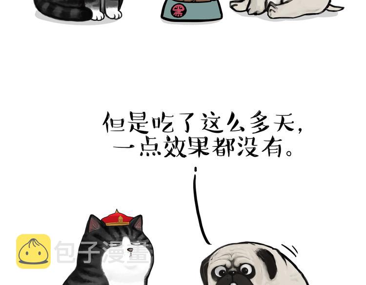 吾皇巴扎黑漫画,第125话 一只优秀的汪2图