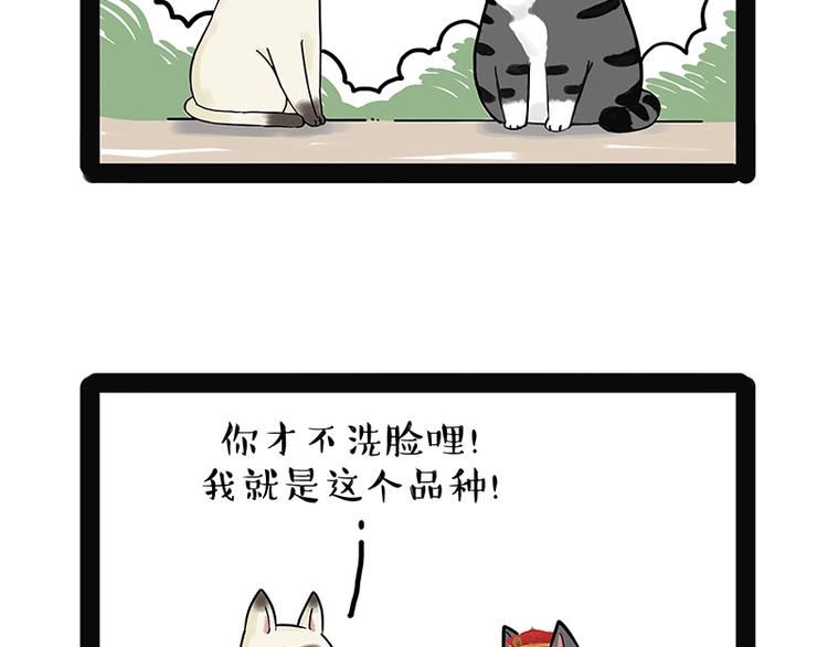 吾皇巴扎黑漫画,第171话 不许你走！1图