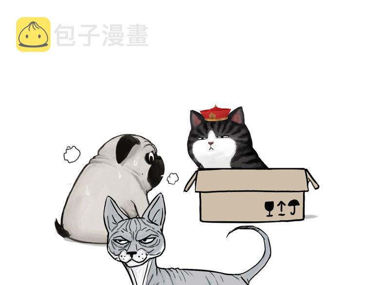 吾皇巴扎黑漫画,第138话 来人救驾1图