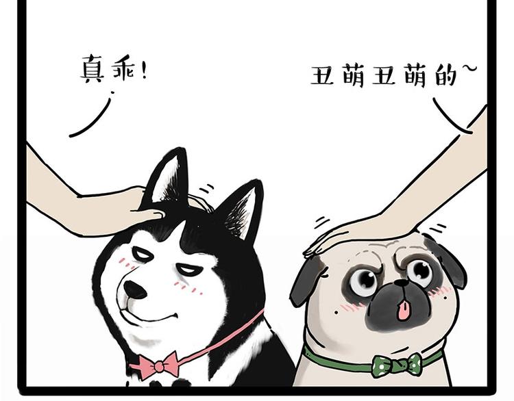 吾皇巴扎黑漫画,第194话 生活不易，猫狗打工2图