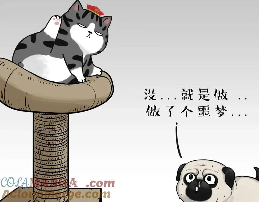 吾皇巴扎黑漫画,第411话 有人欢喜有人忧1图