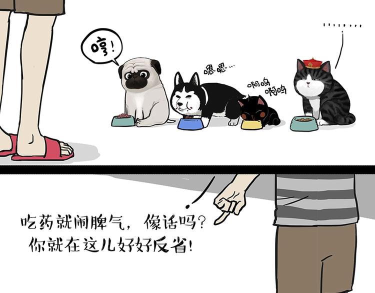 吾皇巴扎黑漫画,第151话 一声兄弟，一生兄弟2图