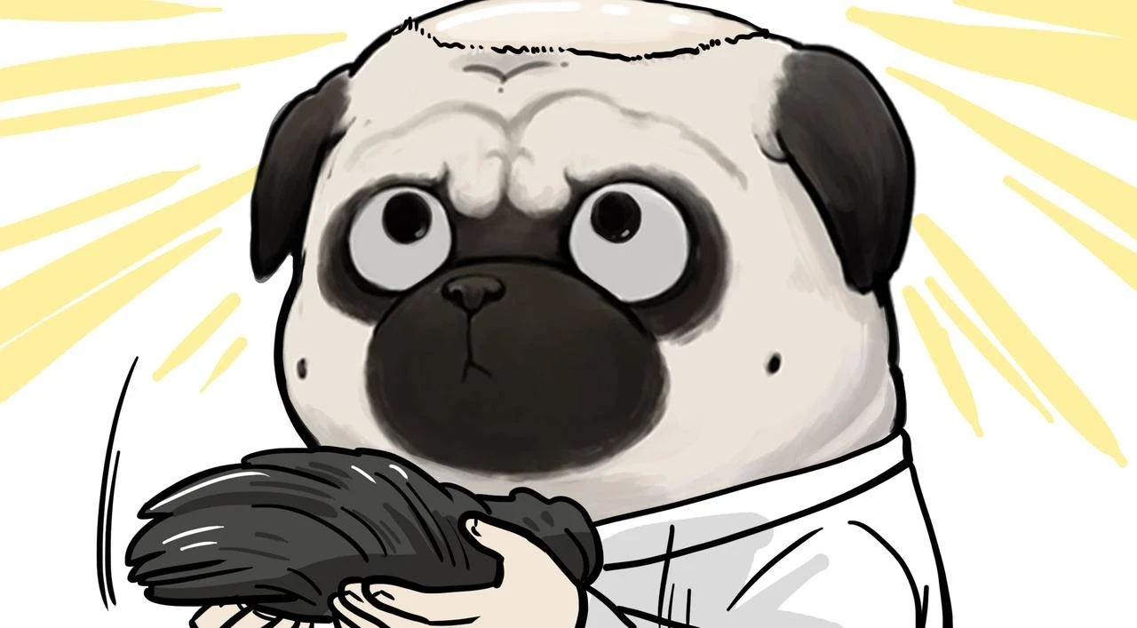 吾皇巴扎黑漫画,第364话 万一呢？2图