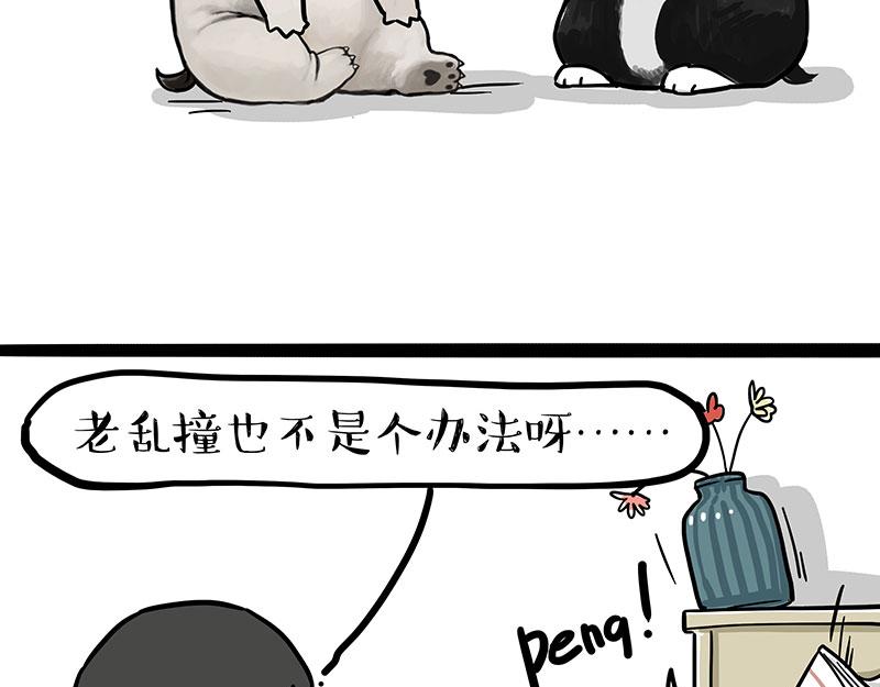 吾皇巴扎黑漫画,第300话 狗也有文化2图