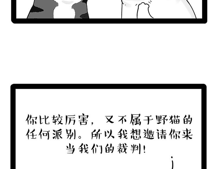 吾皇巴扎黑漫画,第167话 猫王争霸赛1图