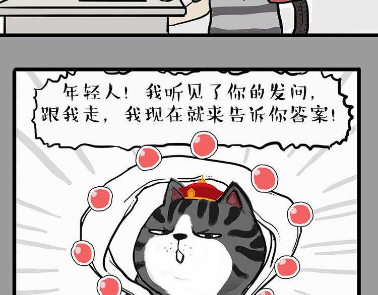 吾皇巴扎黑漫画,第205话 一切都是猫的安排2图