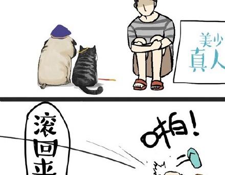 吾皇巴扎黑漫画,第22话 全民CP时代！2图