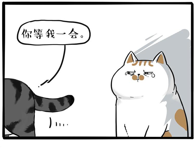 吾皇巴扎黑漫画,第249话 黑黑快跑！1图