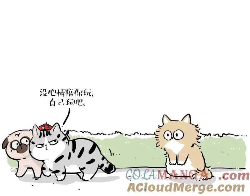吾皇巴扎黑漫画,第424话 话痨小猫1图