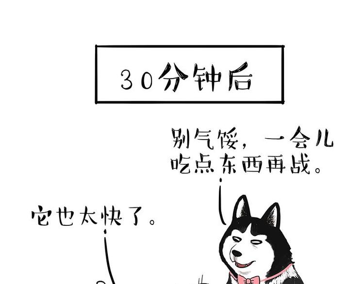 吾皇巴扎黑牛能漫画,第155话 狗之礼仪1图