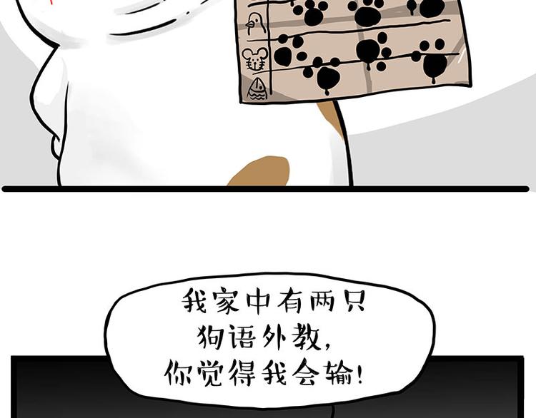 吾皇巴扎黑漫画,第277话 猫斗猫1图