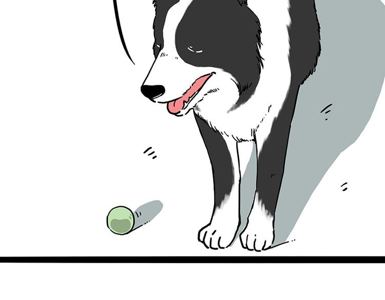 吾皇巴扎黑漫画,第207话 巴扎黑丢了？！2图