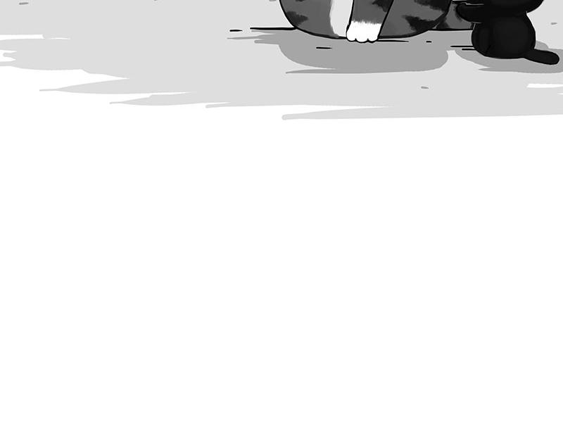 吾皇巴扎黑漫画,第346话 温柔都给你2图