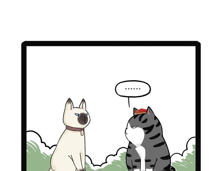 吾皇巴扎黑漫画,第171话 不许你走！1图