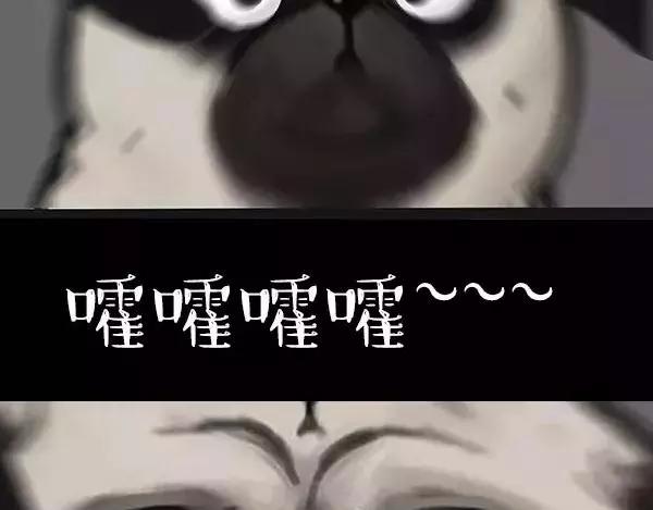 吾皇巴扎黑漫画,第97话 功夫2图