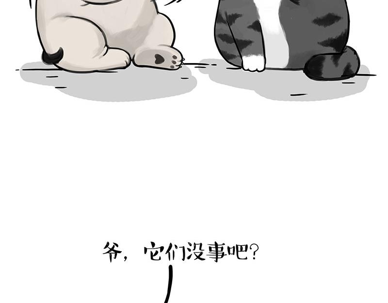 吾皇巴扎黑高清壁纸漫画,第336话 “告别”仪式1图